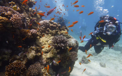 Расслабление