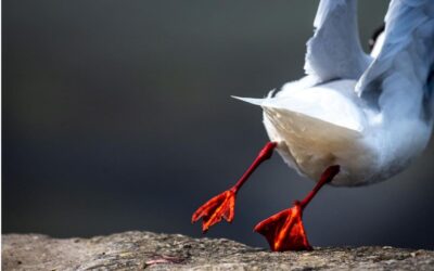 Ухожу красиво