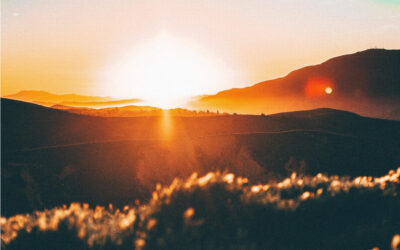 Ранний уход ко сну и подъём