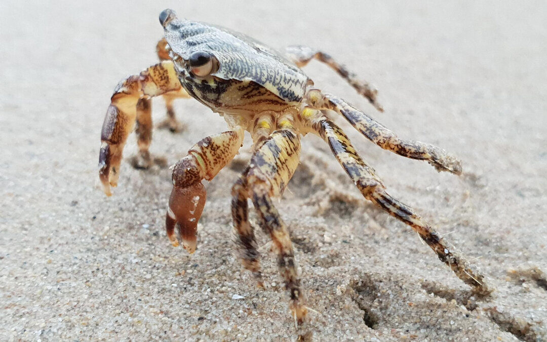 Costa Dorada, Испания