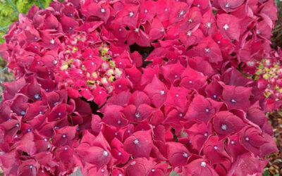 Блогу 2 года!