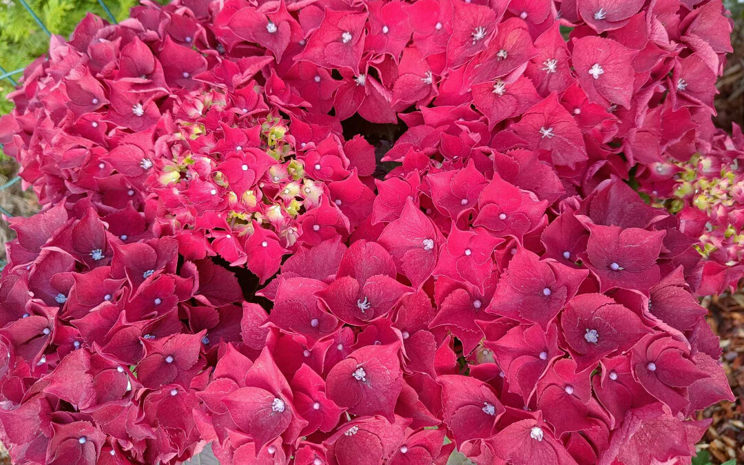 Блогу 2 года!