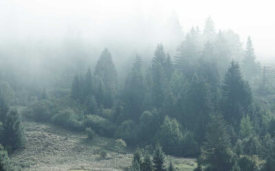 Пора двигаться?