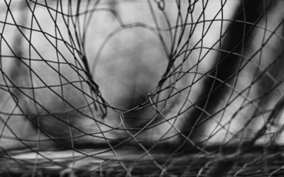 Ловушки мышления