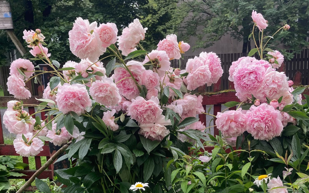 Блогу 4 года